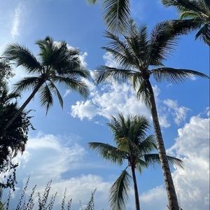 Meet your Posher, Lucas